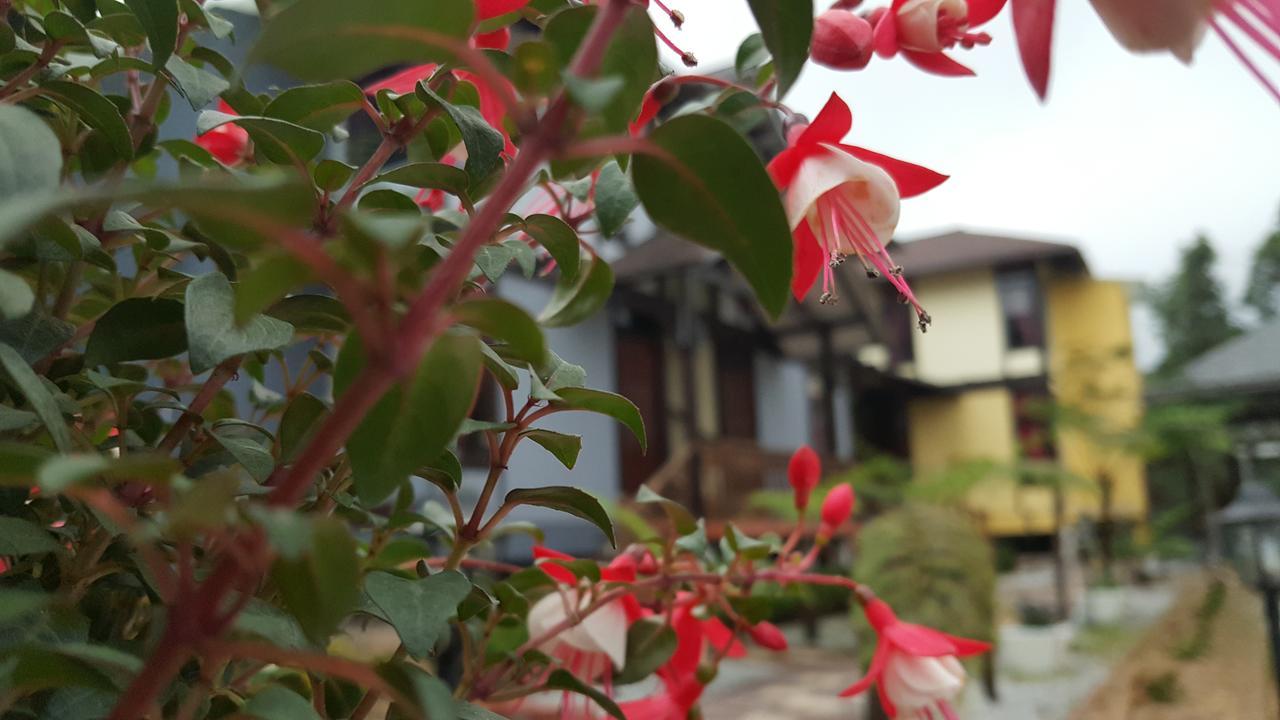 Casa Loma Cameron Highlands Villa Dış mekan fotoğraf