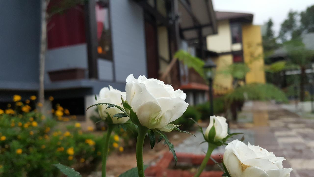 Casa Loma Cameron Highlands Villa Dış mekan fotoğraf