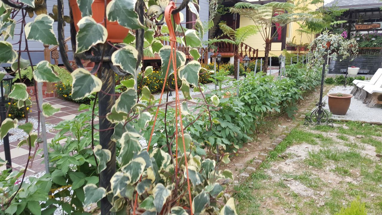 Casa Loma Cameron Highlands Villa Dış mekan fotoğraf