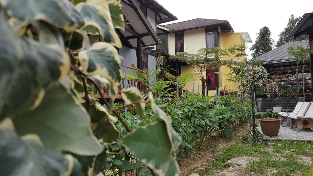 Casa Loma Cameron Highlands Villa Dış mekan fotoğraf